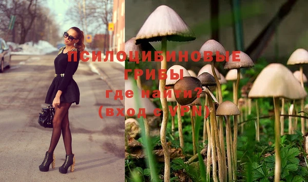 кокаин VHQ Бородино